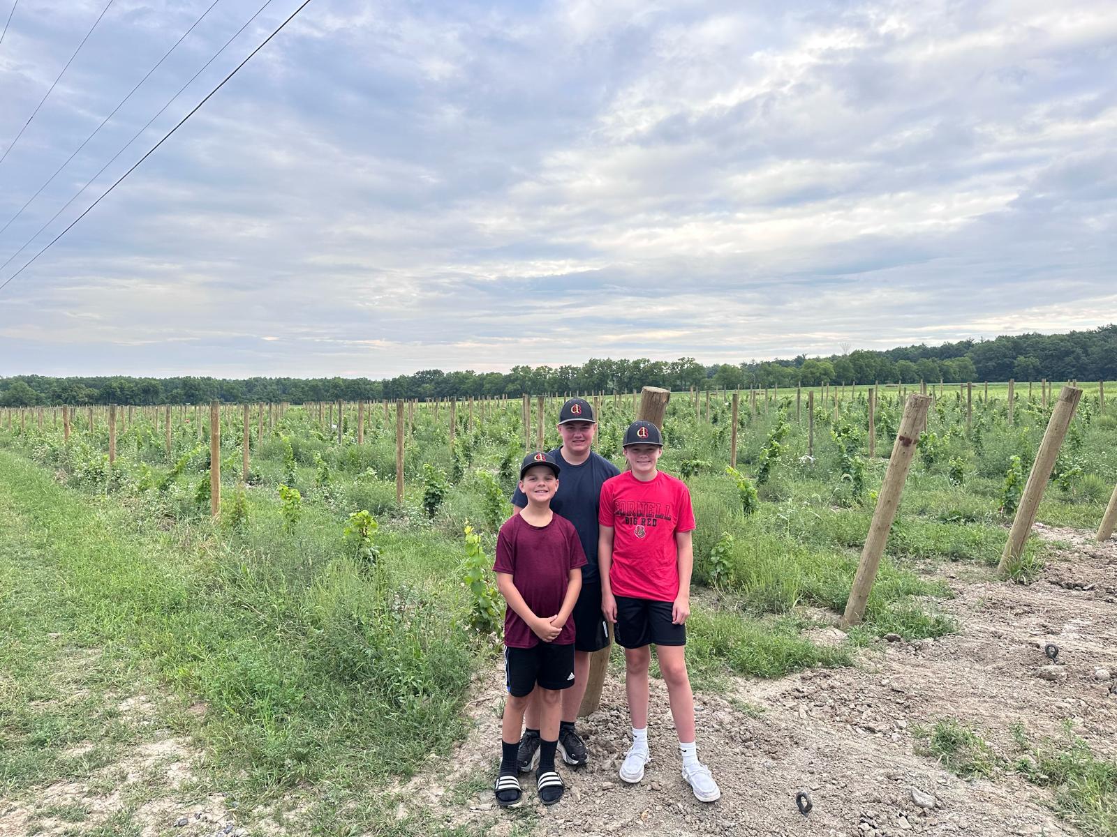 The three Darcy boys standing next to one another, with the vineyard in the background